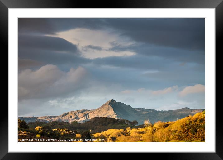 Cnicht in Early Evening Light Framed Mounted Print by Heidi Stewart
