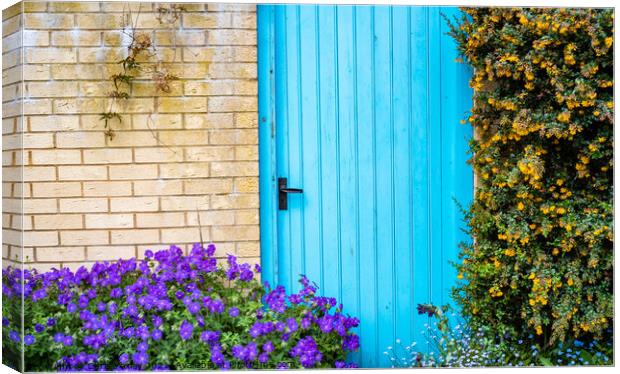 Blue door surrounded by flowers on the bank of the River Wensum, Norwich Canvas Print by Chris Yaxley