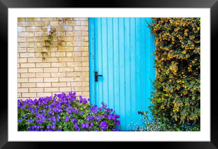 Blue door surrounded by flowers on the bank of the River Wensum, Norwich Framed Mounted Print by Chris Yaxley