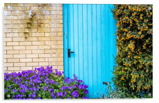 Blue door surrounded by flowers on the bank of the River Wensum, Norwich Acrylic by Chris Yaxley