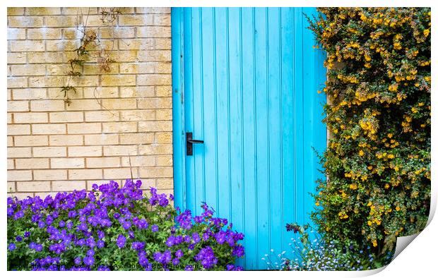 Blue door surrounded by flowers on the bank of the River Wensum, Norwich Print by Chris Yaxley