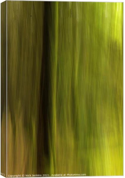Blurred Pine Trees in Hensol Forest in the Vale of Canvas Print by Nick Jenkins
