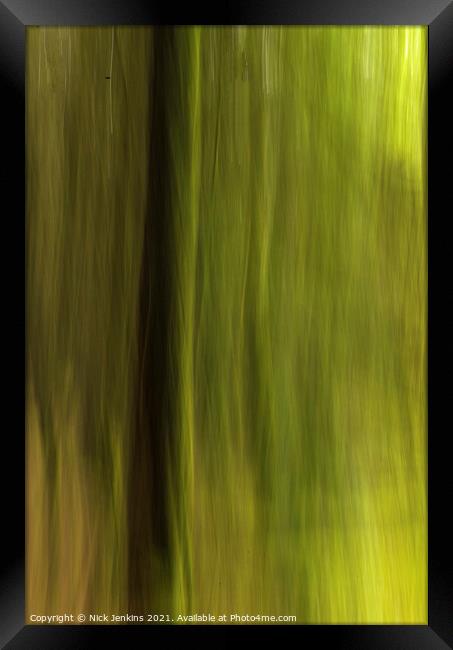 Blurred Pine Trees in Hensol Forest in the Vale of Framed Print by Nick Jenkins