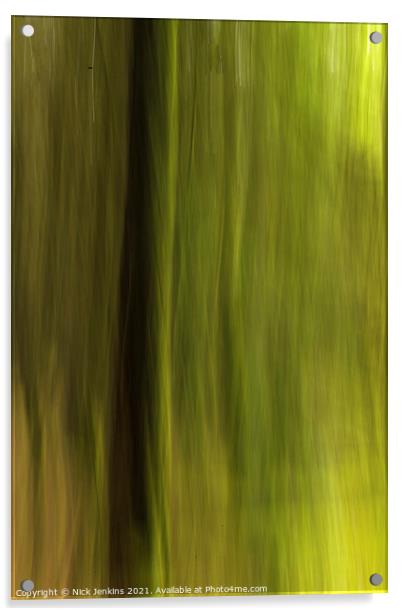 Blurred Pine Trees in Hensol Forest in the Vale of Acrylic by Nick Jenkins