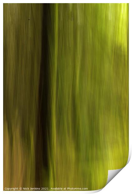 Blurred Pine Trees in Hensol Forest in the Vale of Print by Nick Jenkins