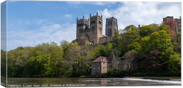 Durham Cathedral Canvas Print by Liam Neon