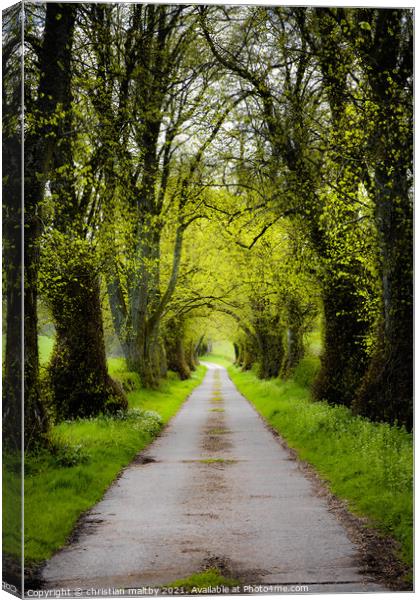 Plainake  road Dumfries Canvas Print by christian maltby
