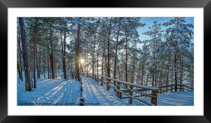 View of snowy pine forest with sun rays coming through and woode Framed Mounted Print by Maria Vonotna