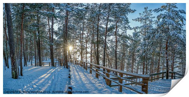 View of snowy pine forest with sun rays coming through and woode Print by Maria Vonotna