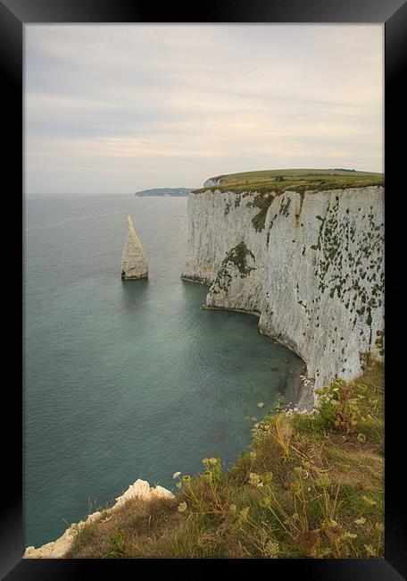 The Pinnacles at Old Harry Rocks Framed Print by Ian Middleton