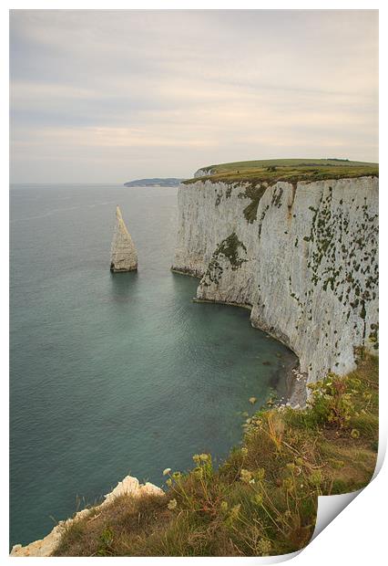 The Pinnacles at Old Harry Rocks Print by Ian Middleton