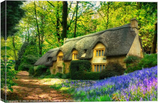 Thatched Bluebell Cottage Canvas Print by Alison Chambers