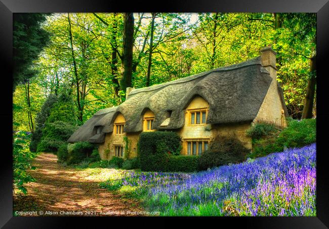 Thatched Bluebell Cottage Framed Print by Alison Chambers