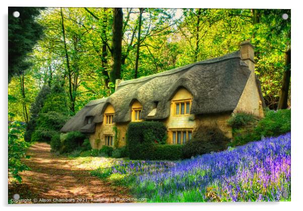 Thatched Bluebell Cottage Acrylic by Alison Chambers