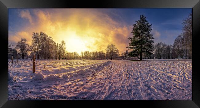 Sunset over covered in snow park with big fir tree Framed Print by Maria Vonotna