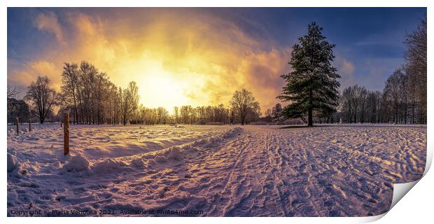 Sunset over covered in snow park with big fir tree Print by Maria Vonotna