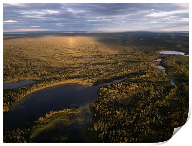 Boreal Forest Canada Print by Marc Hill