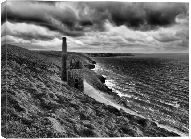 Cornwall sea and coast path monochrome Canvas Print by mark humpage