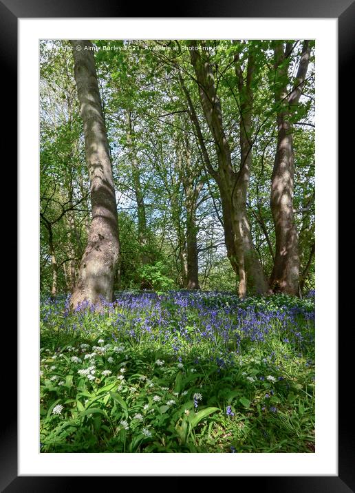 Bluebell Wood Framed Mounted Print by Aimie Burley