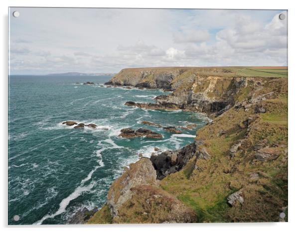 Cornwall Coast and cliffs Acrylic by mark humpage