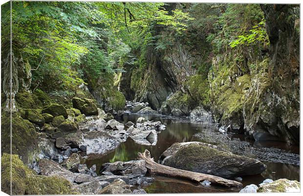 Fairy Glen 4727 Canvas Print by colin ashworth