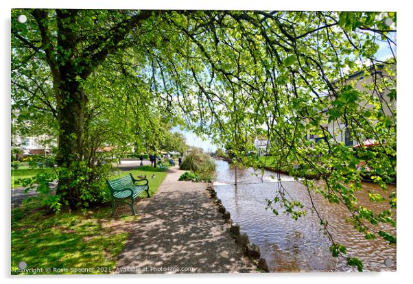 Dawlish Brook in spring time in South Devon Acrylic by Rosie Spooner