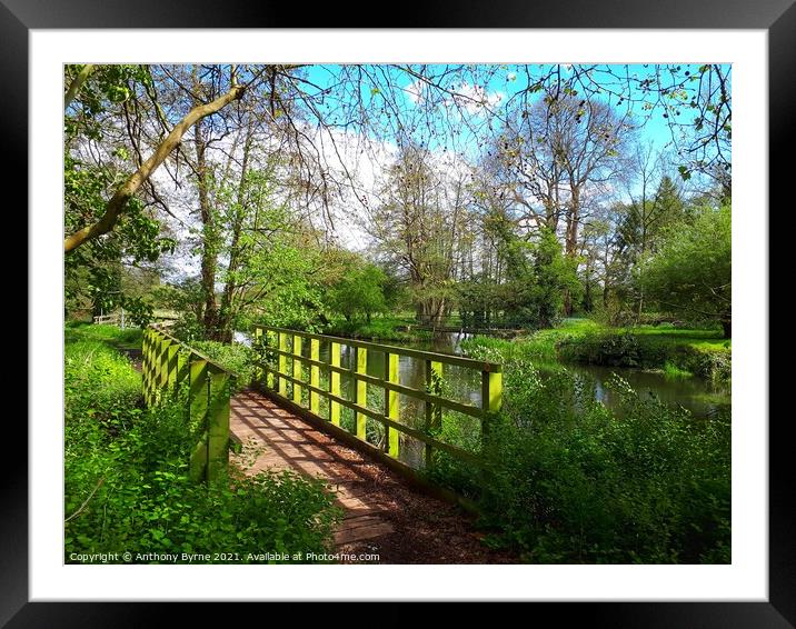 Small Wooden Bridge  Framed Mounted Print by Anthony Byrne