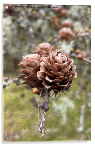 Pine Cones Acrylic by Hazel Powell