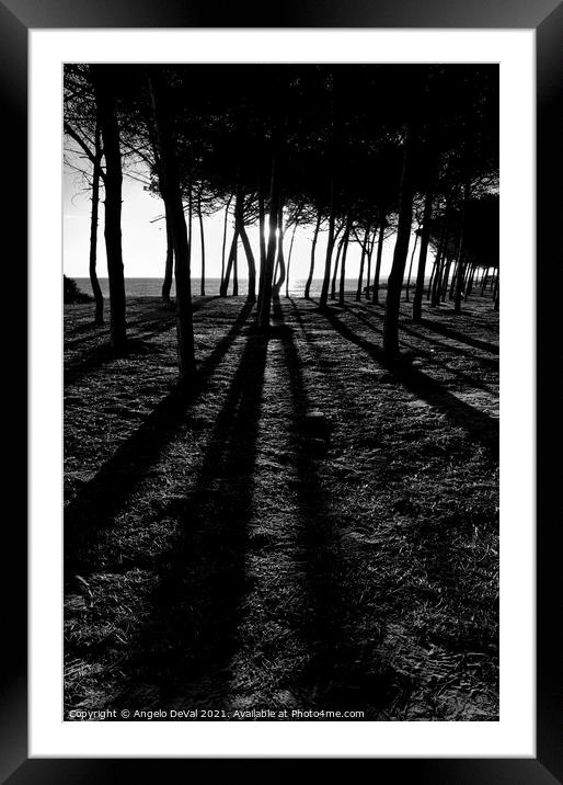 Enchanted sunset in Monochrome Framed Mounted Print by Angelo DeVal