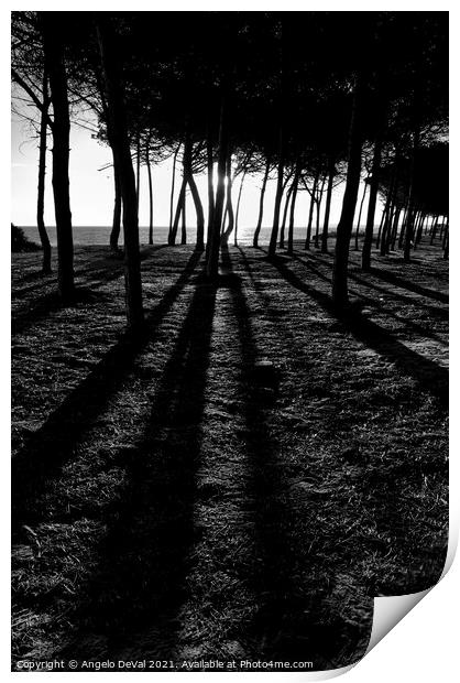 Enchanted sunset in Monochrome Print by Angelo DeVal