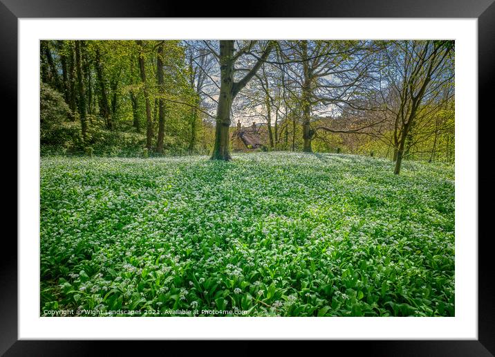 Wild Garlic Carpet Isle Of Wight Framed Mounted Print by Wight Landscapes