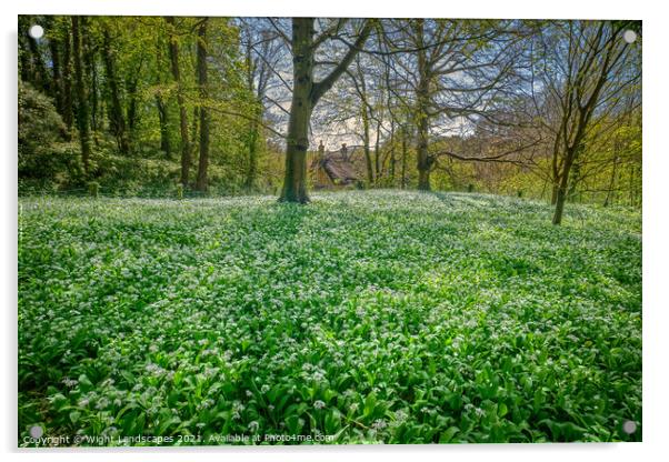 Wild Garlic Carpet Isle Of Wight Acrylic by Wight Landscapes
