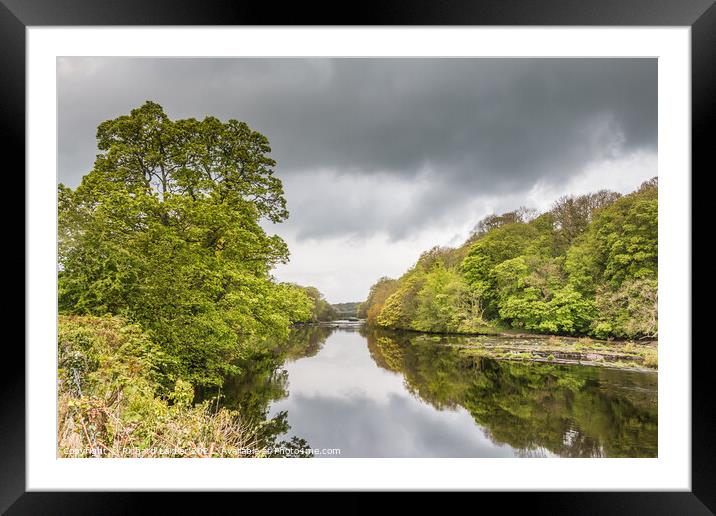 Wycliffe Spring Reflections  Framed Mounted Print by Richard Laidler