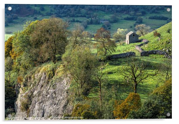 Autumn at Aldery Cliff Acrylic by Chris Drabble