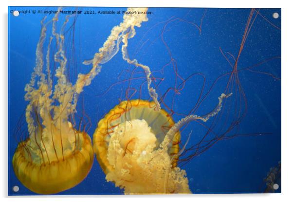 Jelly fish in Vancouver Aquarium, Acrylic by Ali asghar Mazinanian