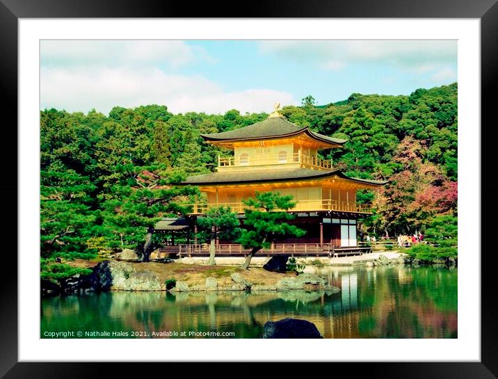 Temple of the Golden Pavilion, Kyoto Japan Framed Mounted Print by Nathalie Hales