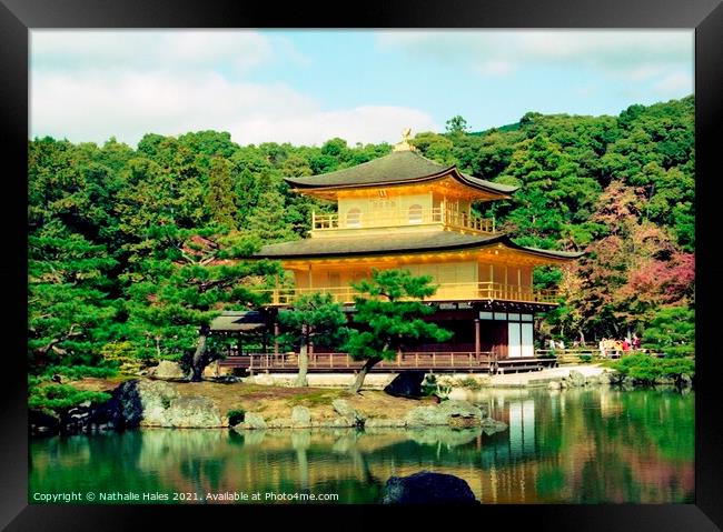Temple of the Golden Pavilion, Kyoto Japan Framed Print by Nathalie Hales