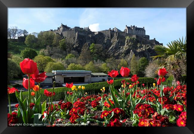 Edinburgh Castle Spring Framed Print by Craig Brown