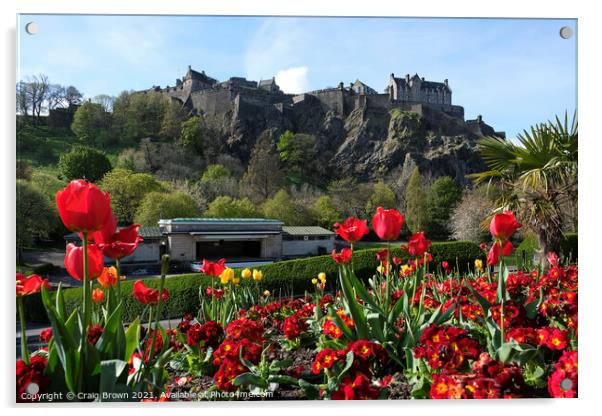 Edinburgh Castle Spring Acrylic by Craig Brown