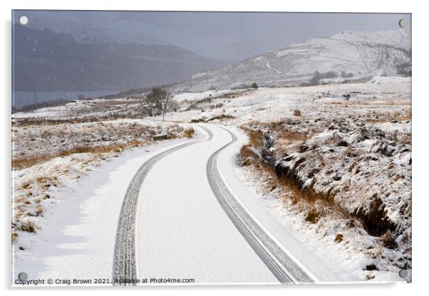 Snow Tracks Acrylic by Craig Brown