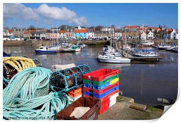 Anstruther Harbour Print by Craig Brown