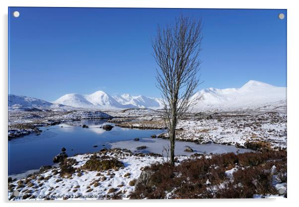 Rannoch Moor Snow Acrylic by Craig Brown