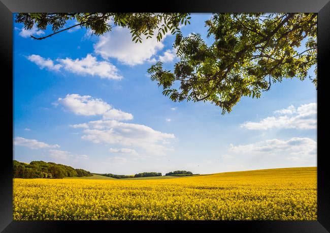 Marlborough Downs, Wiltshire, United Kingdom  Framed Print by Michaela Gainey