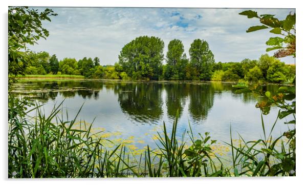 Langford Lakes, Wylye Valley, Wiltshire, UK Acrylic by Michaela Gainey