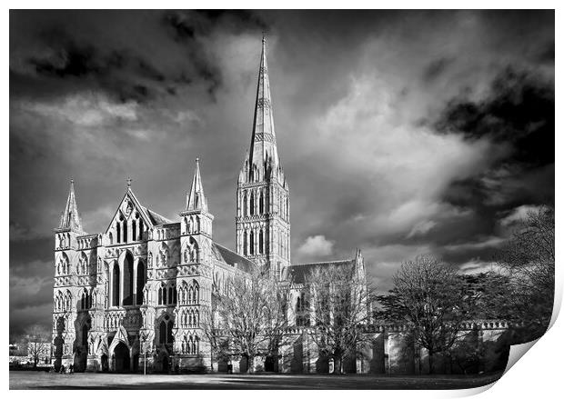Salisbury Cathedral Print by Darren Galpin