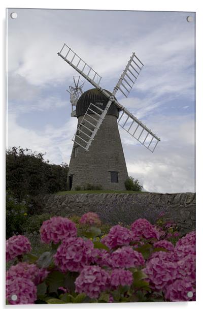 whitburn windmill 2 Acrylic by Northeast Images