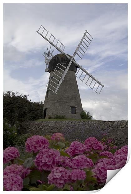 whitburn windmill 2 Print by Northeast Images