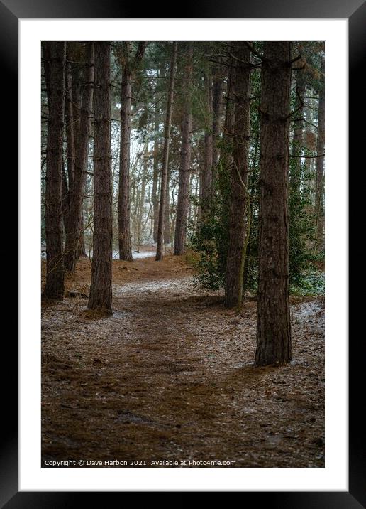 Snow Peppered Path Framed Mounted Print by Dave Harbon