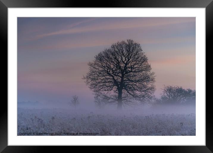 Winters Morning Framed Mounted Print by Dave Harbon