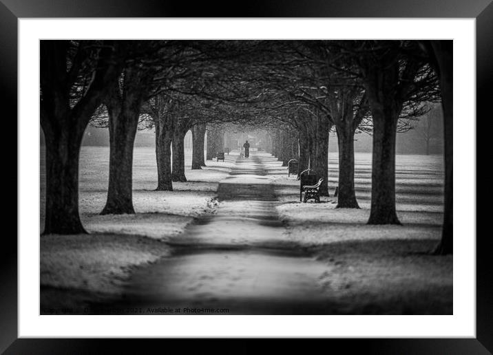 The Winter Walk Framed Mounted Print by Dave Harbon